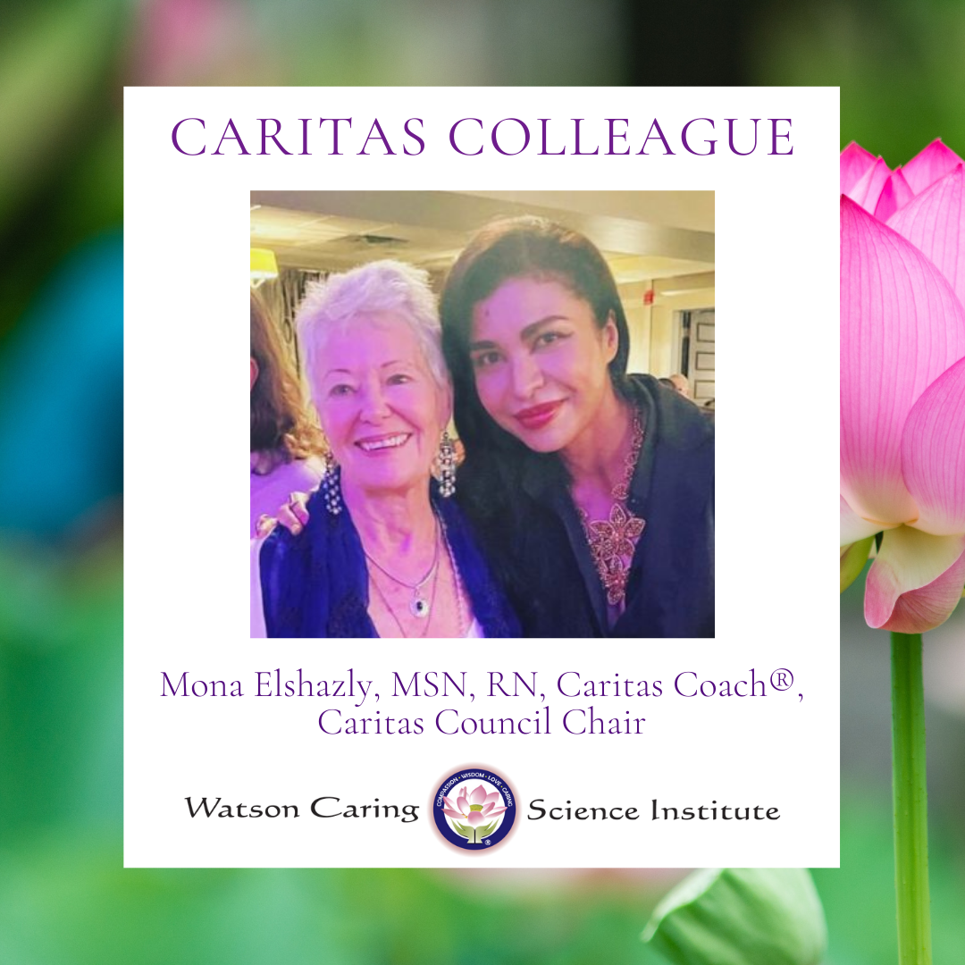 Featured image for “Celebrating Caritas Colleague Mona Elshazly”